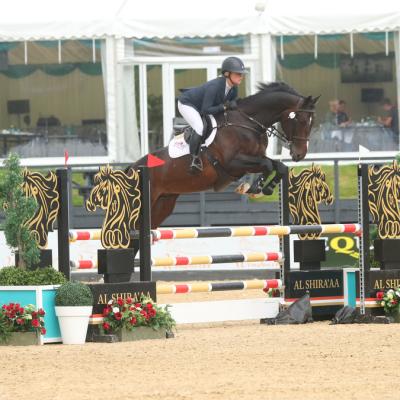 Khartoum Bay Stallion at Hall O Coole Stud